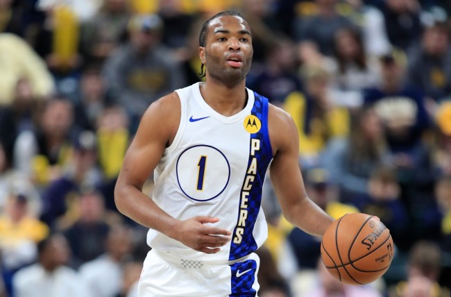 交易白魔都 交易白魔都