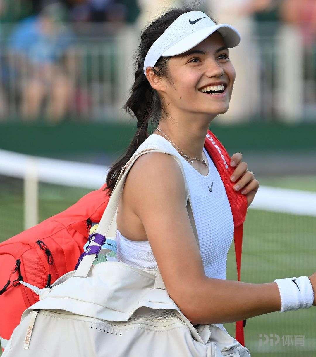 了淋漓尽致 了淋漓尽致